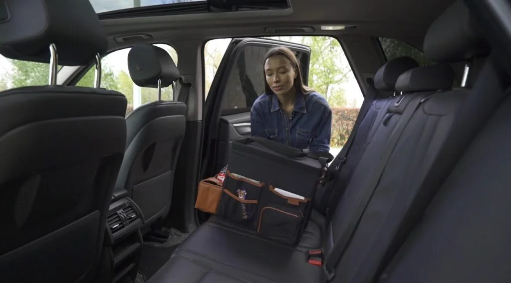 Lexus RX trunk organizer