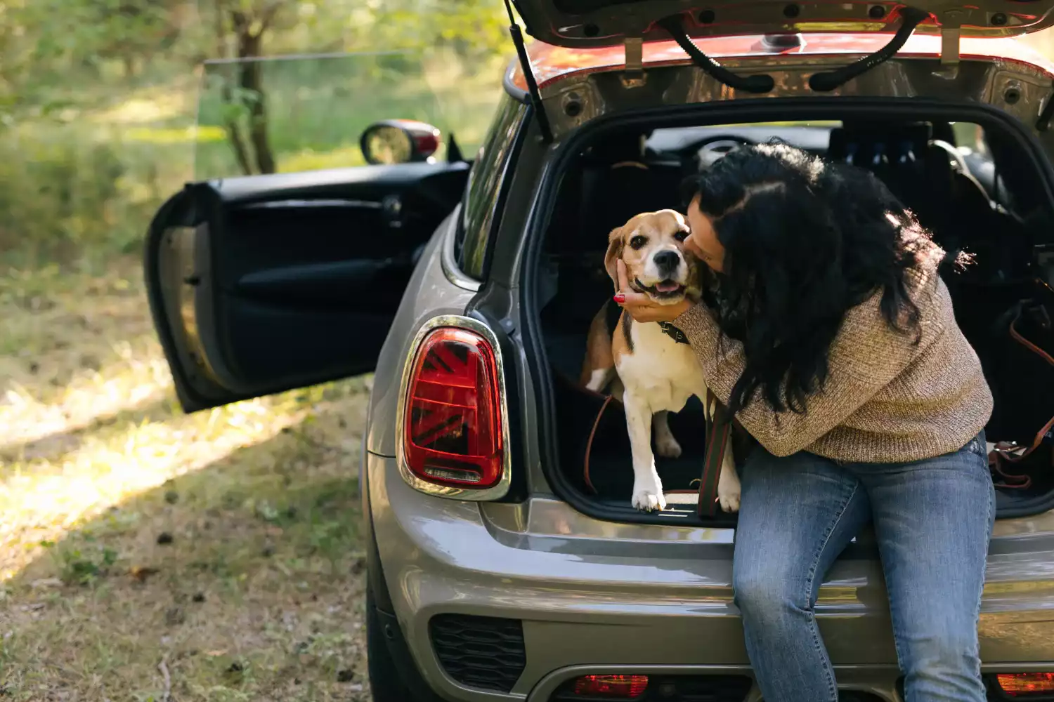 dog back seat cover for Jeep Compass