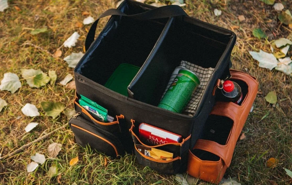 Lexus RX trunk organizer